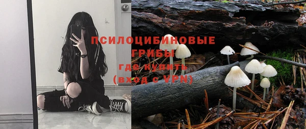 MESCALINE Богданович