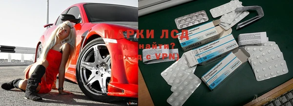 спайс Богородицк