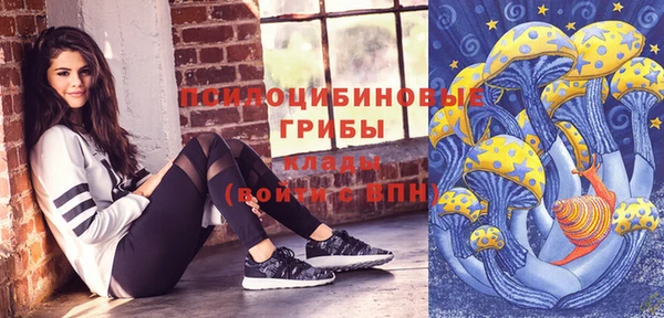 соль курить ск Богородск
